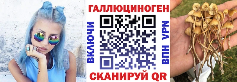 наркотики  Добрянка  Галлюциногенные грибы мицелий 