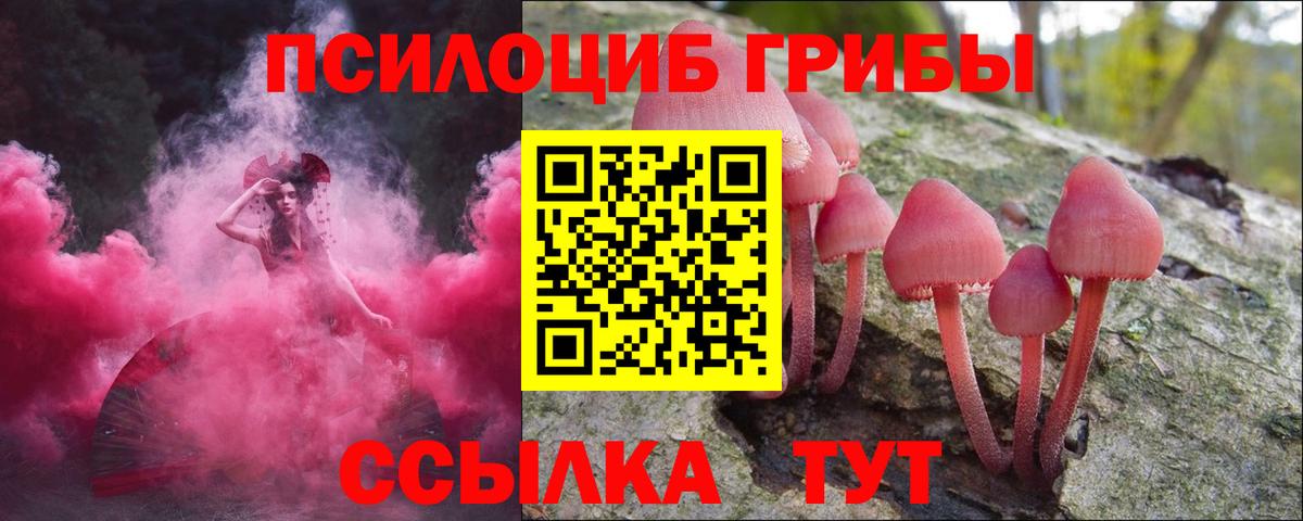 Добрянка  Галлюциногенные грибы прущие грибы  Псилоцибиновые грибы GOLDEN TEACHER  Вход с VPN 